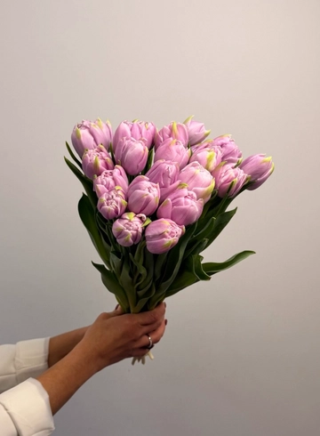 Тюльпан - пион &laquo;Лаванда&raquo; от интернет-магазина цветов в 