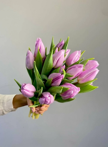 Тюльпан лавандовый от интернет-магазина цветов в 