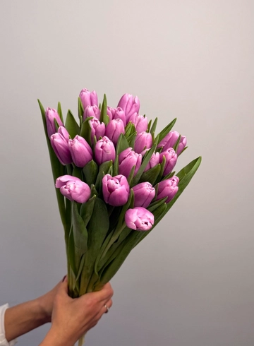 Тюльпан лавандовый от интернет-магазина цветов в 