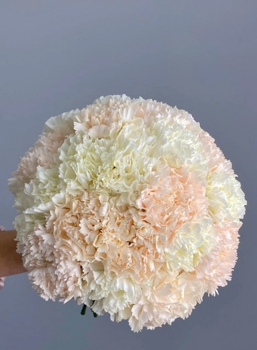 Букет  из гвоздик &laquo;Вдохновение&raquo; от интернет-магазина цветов в 