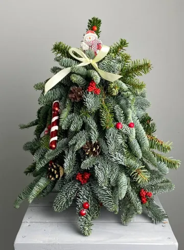 Елочка натуральная &laquo;Красавица&raquo; от интернет-магазина цветов в 