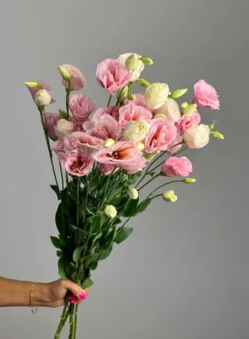 Эустома «Нежно-розовая» от интернет-магазина цветов в 