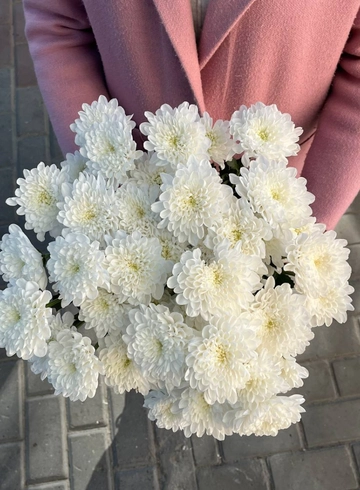 Хризантема кустовая  от интернет-магазина цветов в 