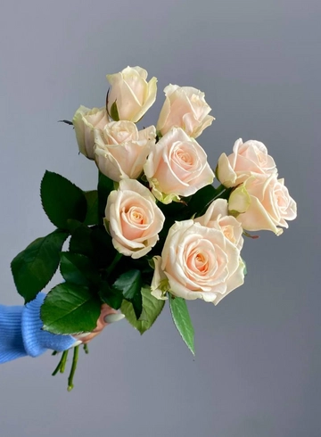 Роза одноголовая &laquo;Свит Аваланш&raquo; 60см от интернет-магазина цветов в 