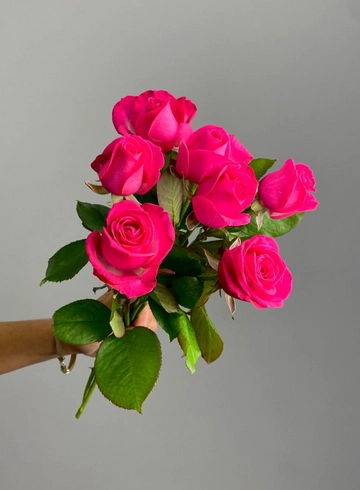 Роза &laquo;Кенди Аваланш&raquo; 40 см от интернет-магазина цветов в 