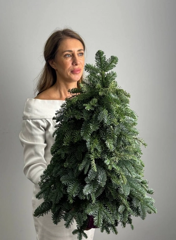 Ёлочка декоративная &laquo;Сказочная&raquo; от интернет-магазина цветов в 