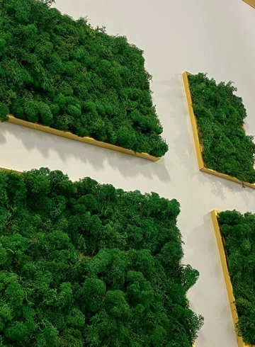 Пано из стабилизированного мха от интернет-магазина цветов в 