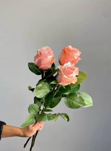 Роза Эквадор Би Свит  от интернет-магазина цветов в 