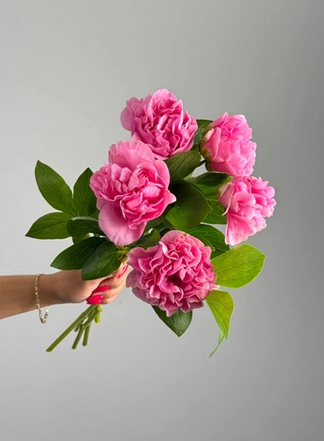 Пион «Розовый шарм» от интернет-магазина цветов в 