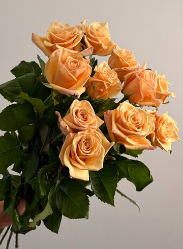 Роза Латте от интернет-магазина цветов в 