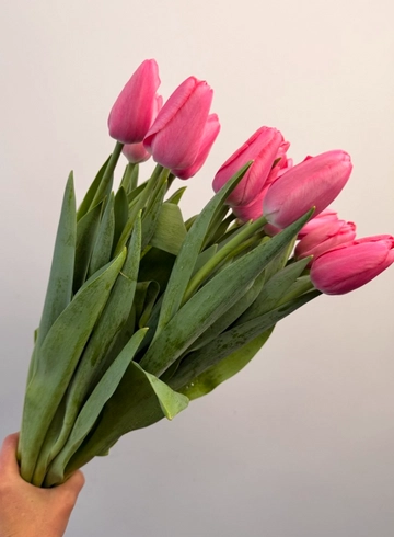 Тюльпан Роз от интернет-магазина цветов в 