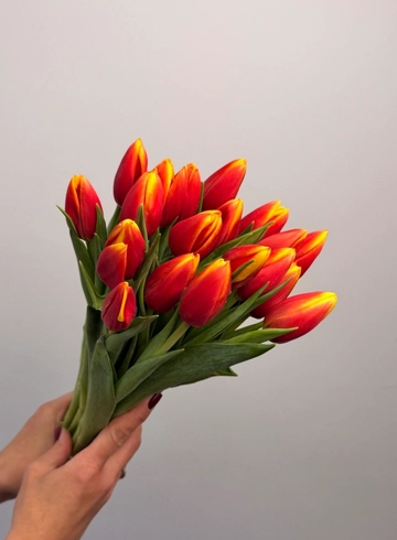 Тюльпан Оранжевый от интернет-магазина цветов в 