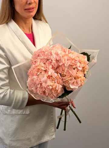 Букет из гортензии &laquo;Сахарная вата&raquo; от интернет-магазина цветов в 
