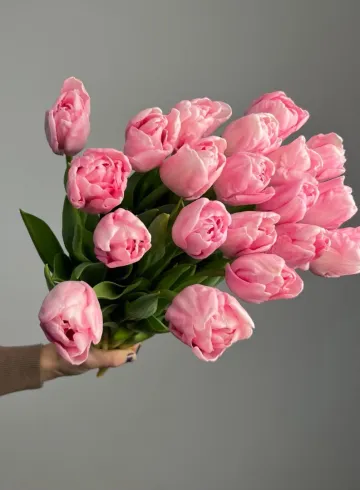 Тюльпан розовый &laquo;Марьяж&raquo; от интернет-магазина цветов в 