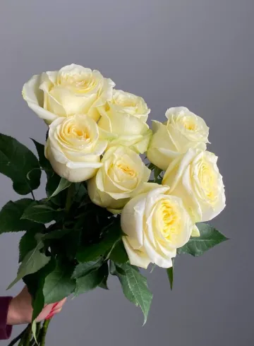 Роза &laquo;Канделайт&raquo; от интернет-магазина цветов в 