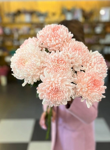 Хризантема одноголовая «Бигуди» от интернет-магазина цветов в 