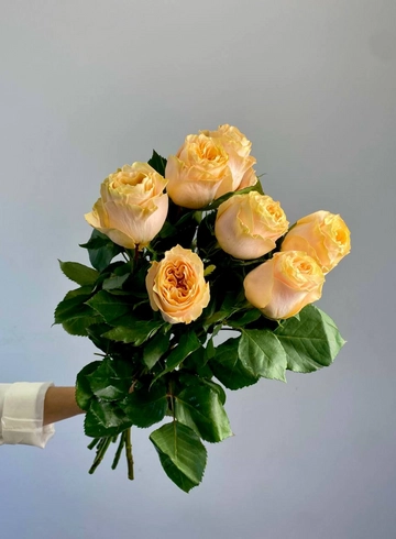 Роза  &laquo;Принцесса Браун&raquo; от интернет-магазина цветов в 