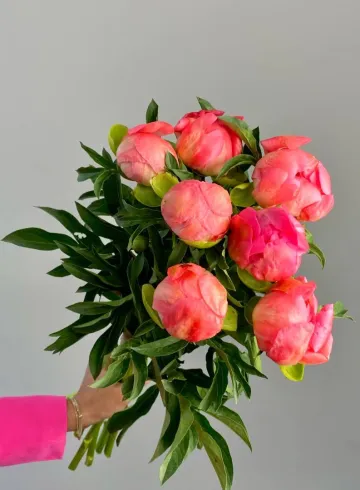 Пион Коралл Шарм от интернет-магазина цветов в 