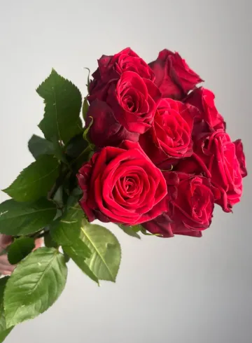 Роза &laquo;Рэд Наоми&raquo; 40 см от интернет-магазина цветов в 