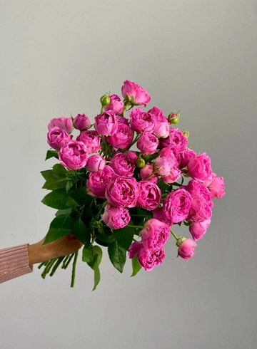 Роза кустовая 40 см &laquo;Мисти баблс&raquo; от интернет-магазина цветов в 