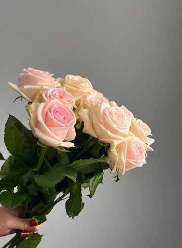 Роза &laquo;Ревиваль&raquo; от интернет-магазина цветов в 