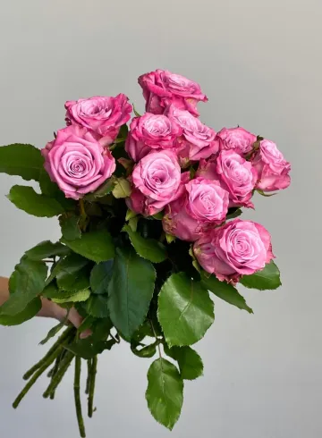 Роза Россия &laquo;Мэритим&raquo; от интернет-магазина цветов в 