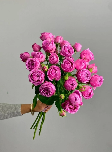 Роза кустовая  «Мисти баблс» 50 см от интернет-магазина цветов в 