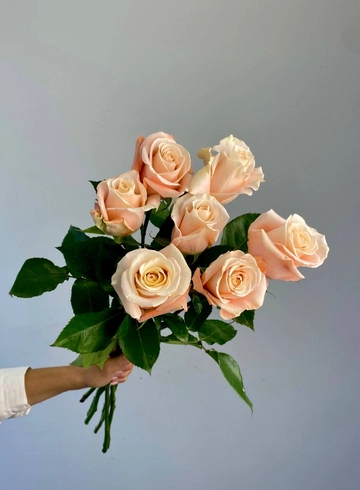 Роза &laquo;Клео&raquo; от интернет-магазина цветов в 