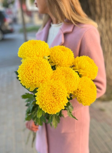 Хризантема желтая от интернет-магазина цветов в 