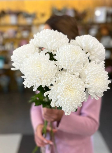 Хризантема Бигуди белая от интернет-магазина цветов в 