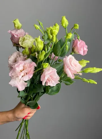 Эустома бело - розовая. от интернет-магазина цветов в 