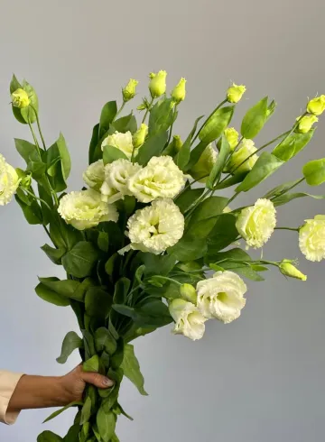 Эустома бело - зеленая от интернет-магазина цветов в 