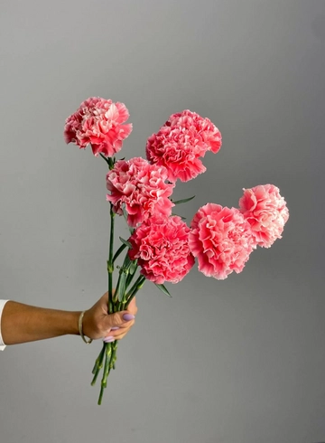 Гвоздика «Ярко-розовая» от интернет-магазина цветов в 