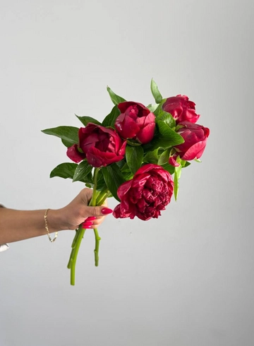 Пион «Ред Сара» от интернет-магазина цветов в 