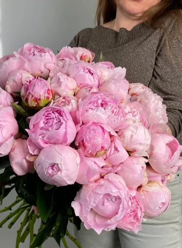Пион "Сара Бернар" от интернет-магазина цветов в 