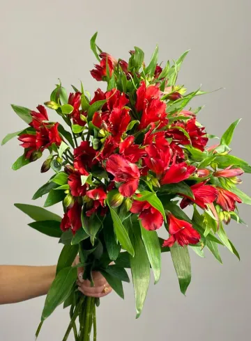 Альстромерия  &laquo;Адель&raquo; от интернет-магазина цветов в 