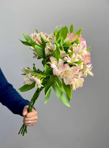 Альстромерия &laquo;Маршмеллоу&raquo; от интернет-магазина цветов в 